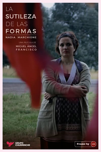 Poster de la película 'La sutileza de las formas'